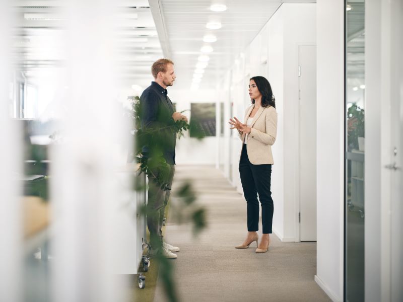 Interim hållbarhetskonsult